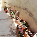 Vakantiehuis La Terrasse Gignac (Herault)