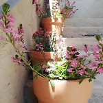 Hébergement de vacances La Terrasse *