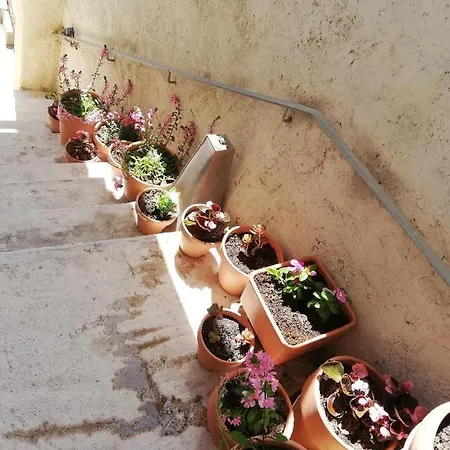 Semesterbostad La Terrasse Gignac (Herault)