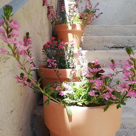 Semesterbostad La Terrasse *