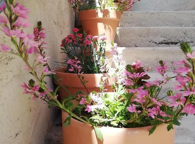 Σπίτι διακοπών La Terrasse *